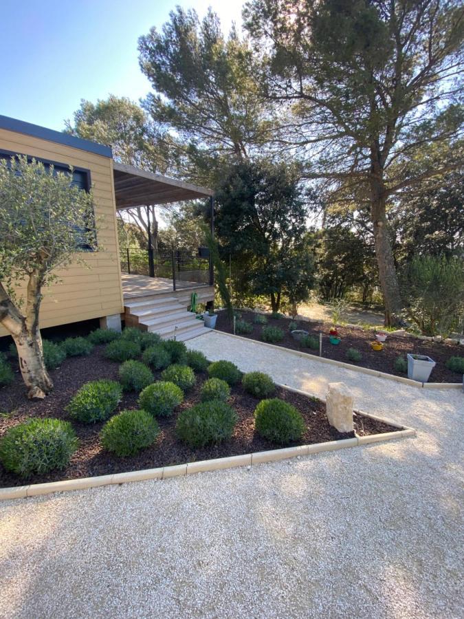 Les Troglodytes Du Ventoux Villa Bollène Exteriör bild